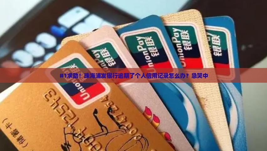 珠海浦发银行逾期怎么处理个人信用记录