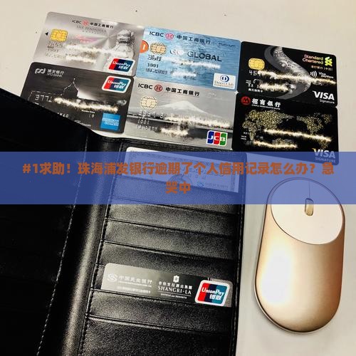 珠海浦发银行逾期怎么处理个人信用记录