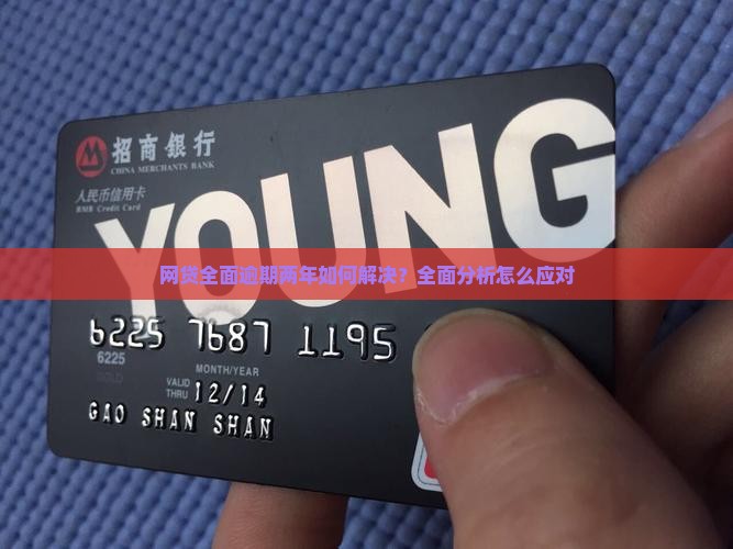网贷全面逾期2年如何解决