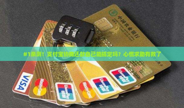 支付宝自己能协商成功吗需要注意哪些问题