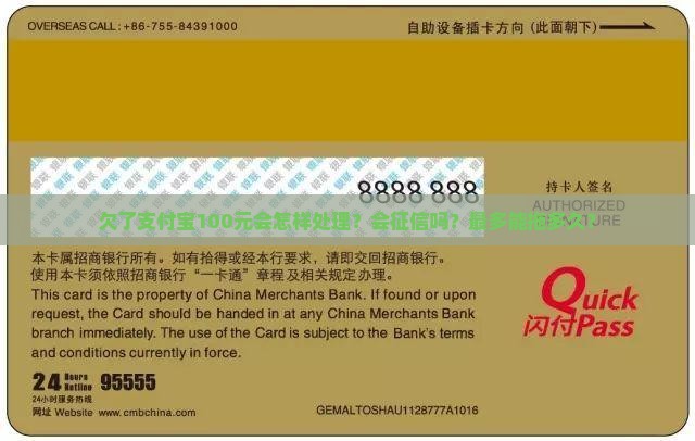 欠了支付宝100元会怎样