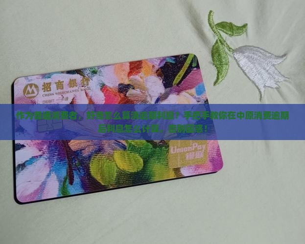 中原消费的逾期利息如何计算