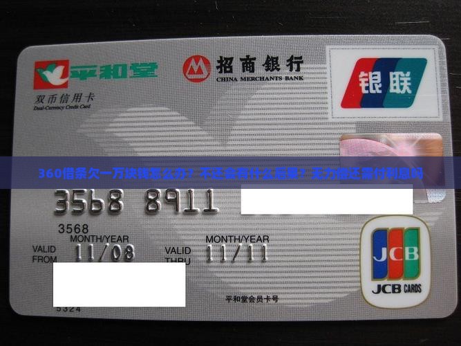 360借条欠一万块钱怎么办