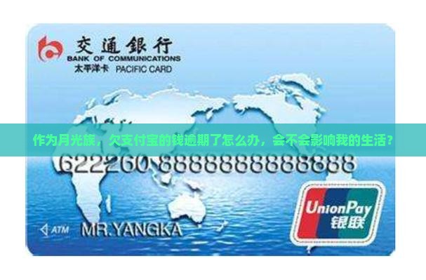 支付宝还不起会怎样处理和影响
