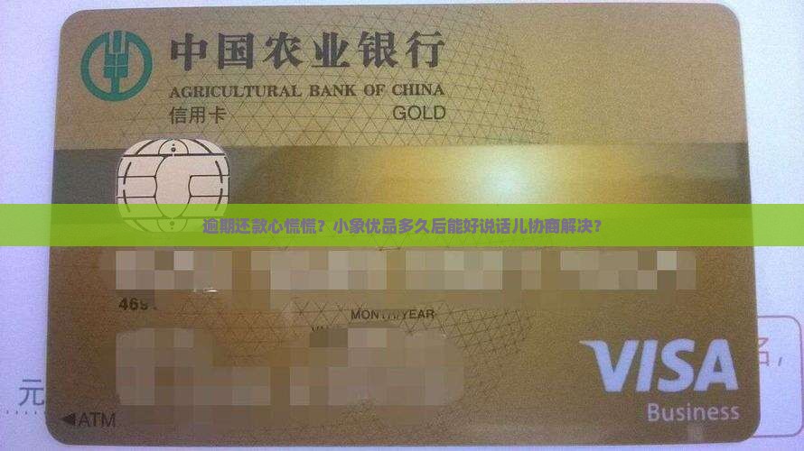小象优品逾期多久可以协商解决问题