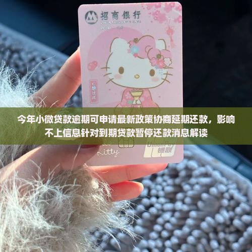 小微贷款能协商延期还款吗