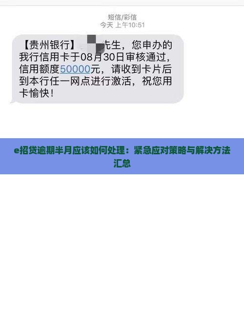e招贷逾期半月应该如何处理