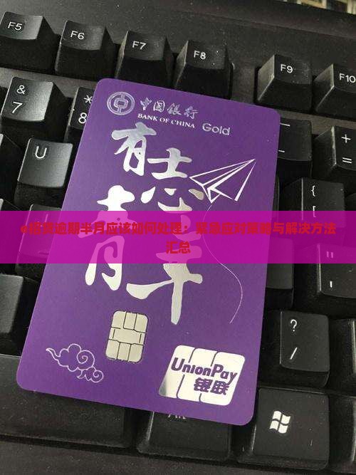e招贷逾期半月应该如何处理