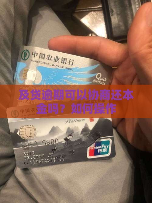 及贷可以协商还本金吗如何操作