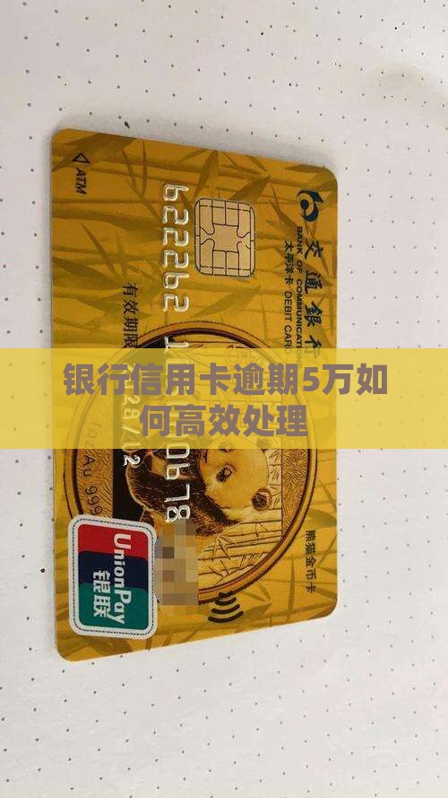 建设银行信用卡5万逾期如何处理
