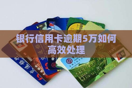 建设银行信用卡5万逾期如何处理
