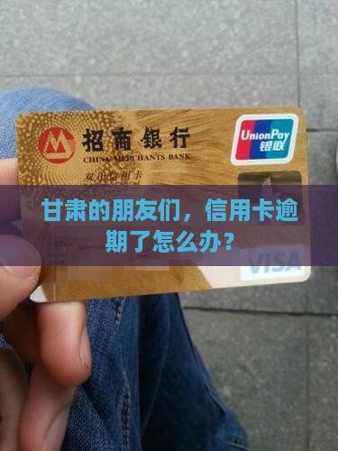 甘肃信用卡逾期处理咨询