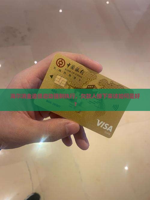 海尔消金起诉强制执行后怎么办