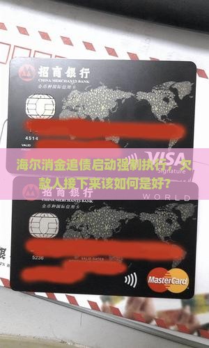 海尔消金起诉强制执行后怎么办