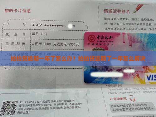 拍拍贷逾期一年了怎么办 拍拍贷逾期一年了怎么办