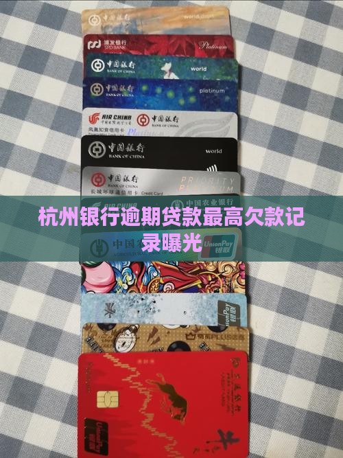 杭州银行欠款最高记录是多少