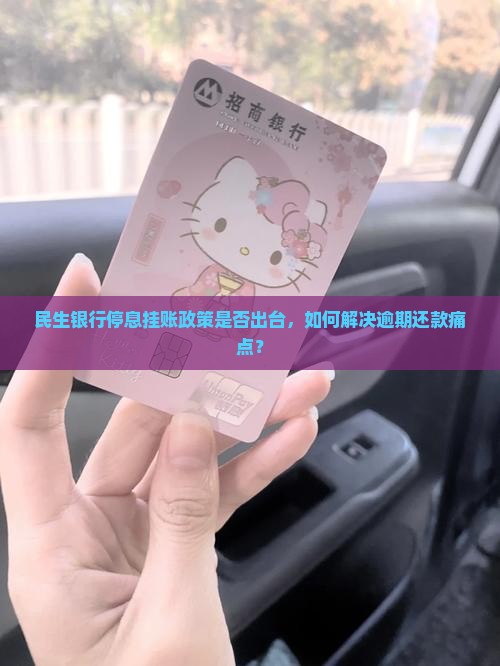 民生银行停息挂账