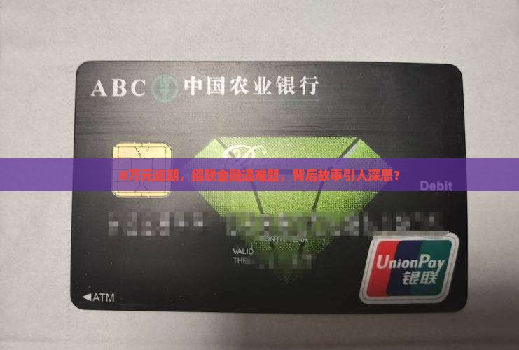 招联金融8万逾期