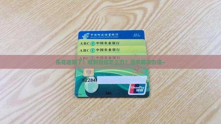乐花逾期短信怎么处理