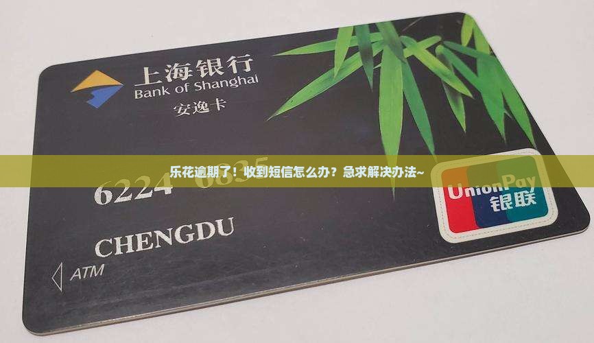 乐花逾期短信怎么处理