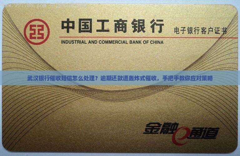 武汉银行催收短信怎么处理
