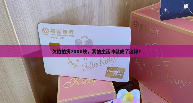 欠拍拍贷7000