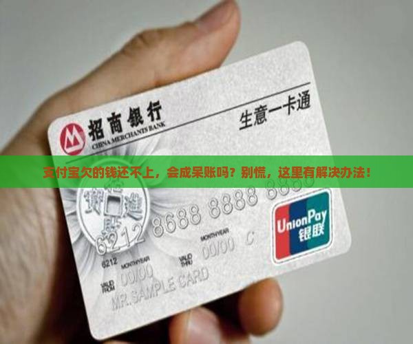 支付宝无力偿还会变成呆账怎么办
