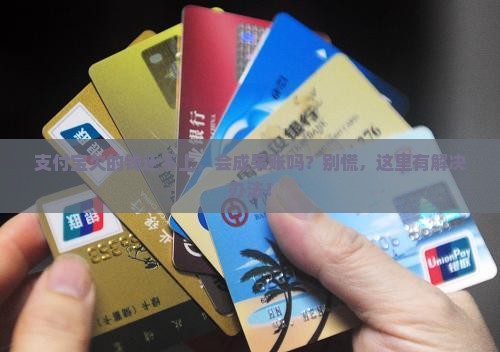 支付宝无力偿还会变成呆账怎么办
