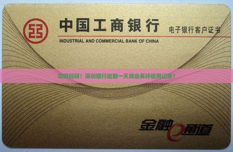 深圳银行逾期一天会对信用记录有什么影响