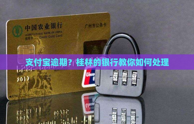 支付宝逾期桂林银行该如何处理