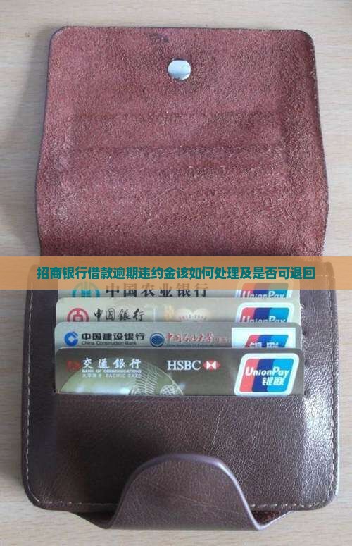 招商银行借款逾期违约金该如何处理