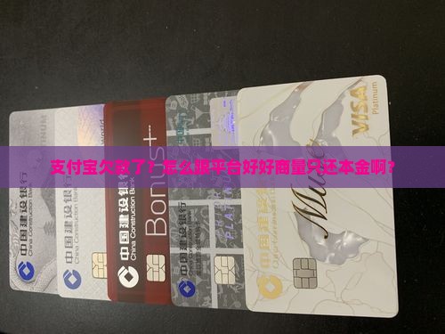支付宝怎么协商欠款还本金的方法有哪些