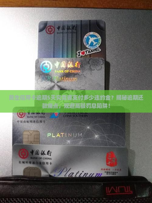 民生信用卡逾期5天需要支付多少违约金
