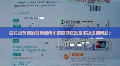 微粒贷首期逾期怎么办延期还款