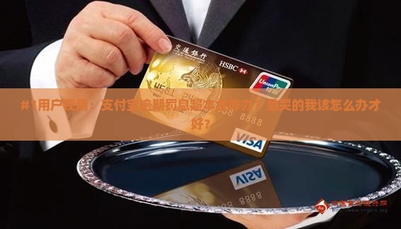 支付宝逾期罚息超过本金如何处理