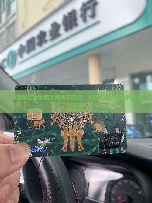 中原消费金融起诉要坐牢吗如何应对