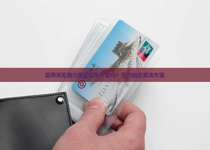 信用贷无能力偿还后果严重吗