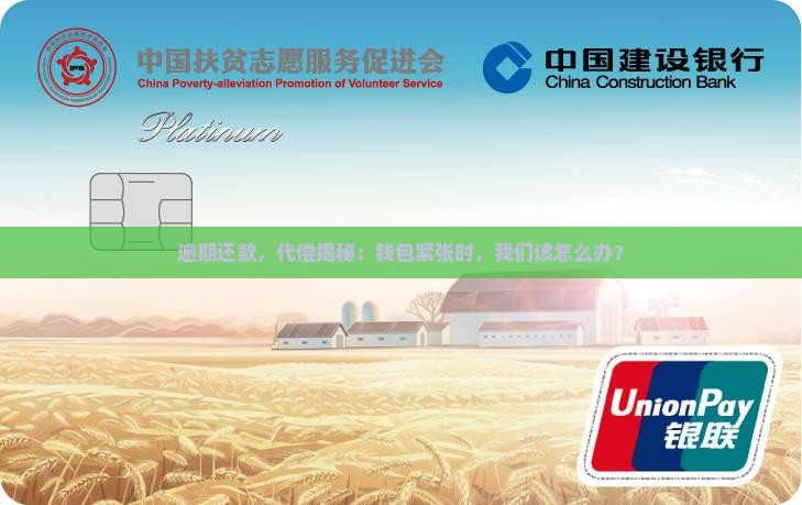 逾期还款及代偿规定解读
