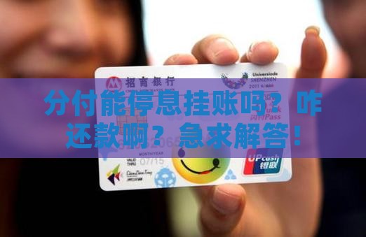 分付可以停息挂账吗怎么还款