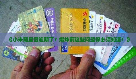 小米随星借逾期多久爆炸问题解析