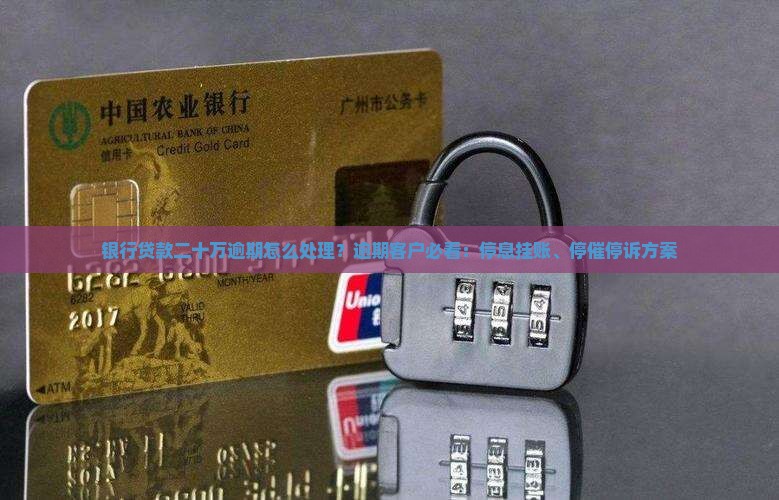 银行贷款二十万逾期怎么处理