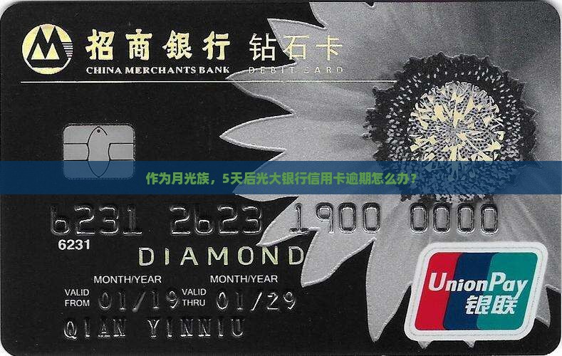 光大银行即将逾期怎么办
