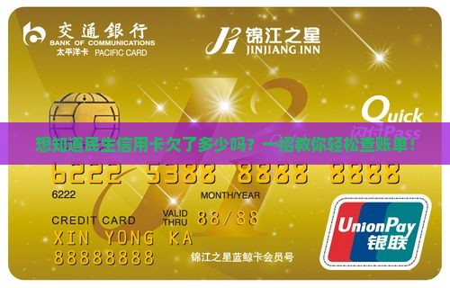 民生银行信用卡欠款查询方法