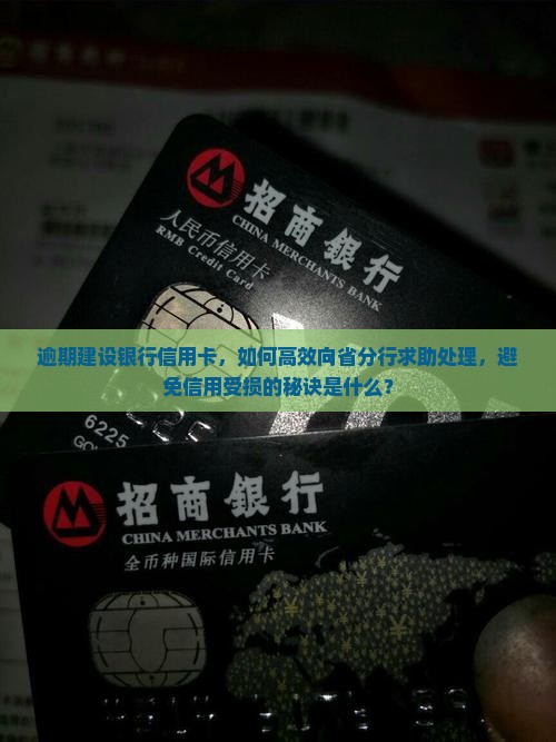 建设银行信用卡逾期后如何向省分行处理