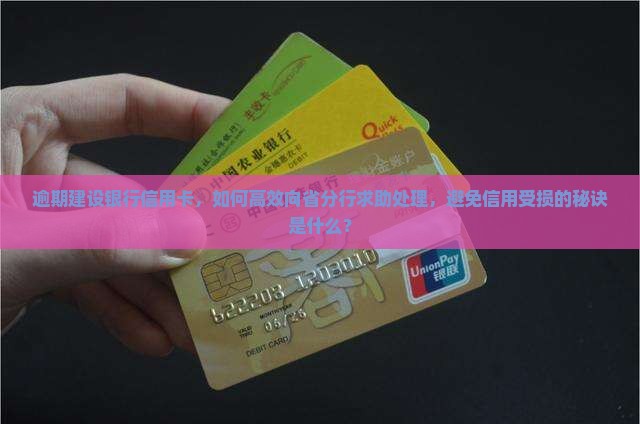 建设银行信用卡逾期后如何向省分行处理