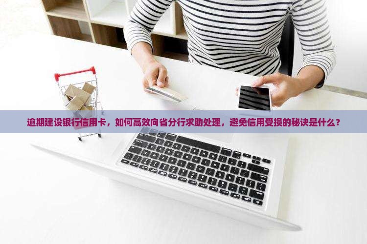 建设银行信用卡逾期后如何向省分行处理