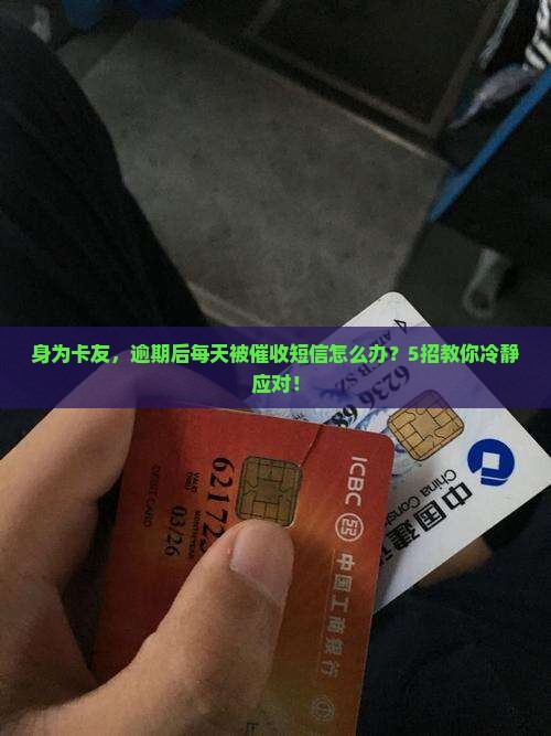 时光分期逾期天天发信息如何处理