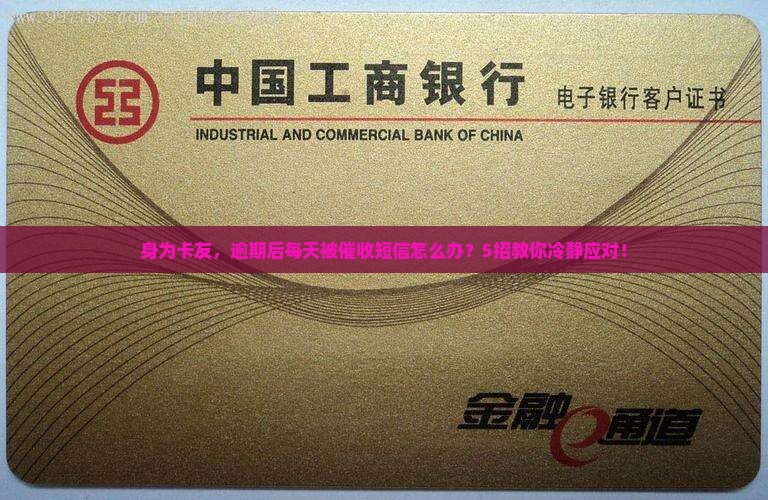 时光分期逾期天天发信息如何处理