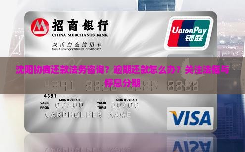 沈阳协商还款法务咨询