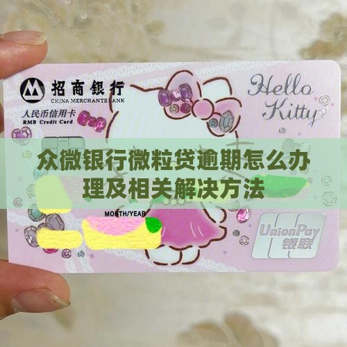 众微银行微粒贷逾期怎么办理及相关解决方法